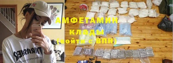 прущие грибы Краснослободск