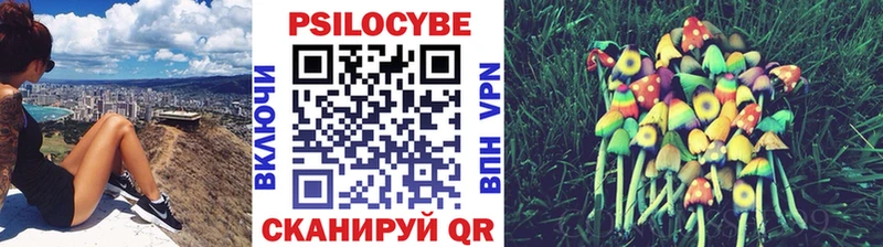 Галлюциногенные грибы Psilocybe  Елец 